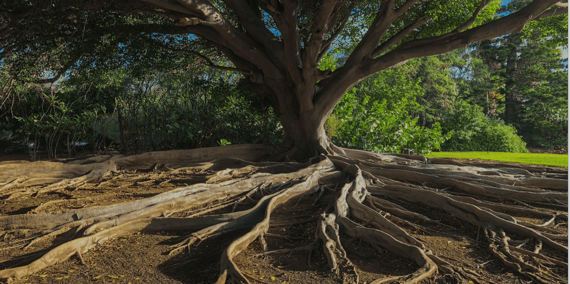 The nature-positive business