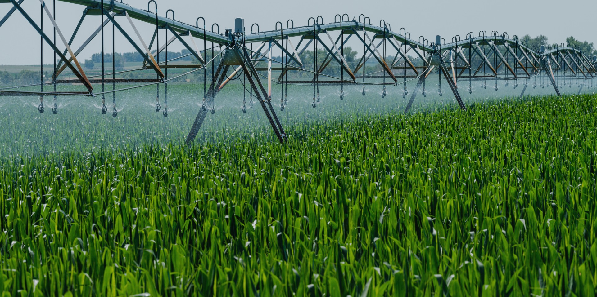 From scarcity to abundance: The quest for sustainable water in agriculture