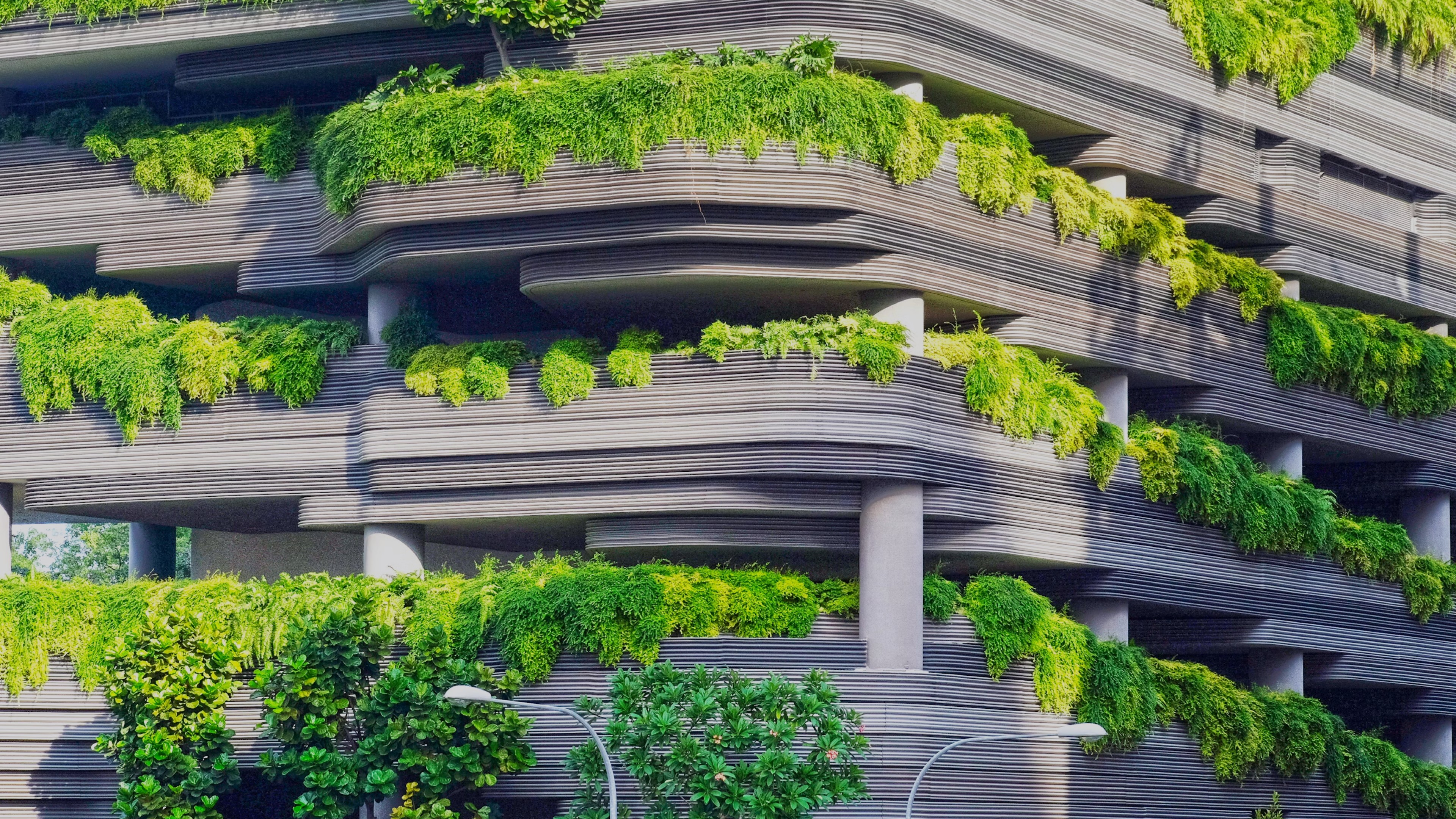 Forest Stewardship Council (FSC) Certification