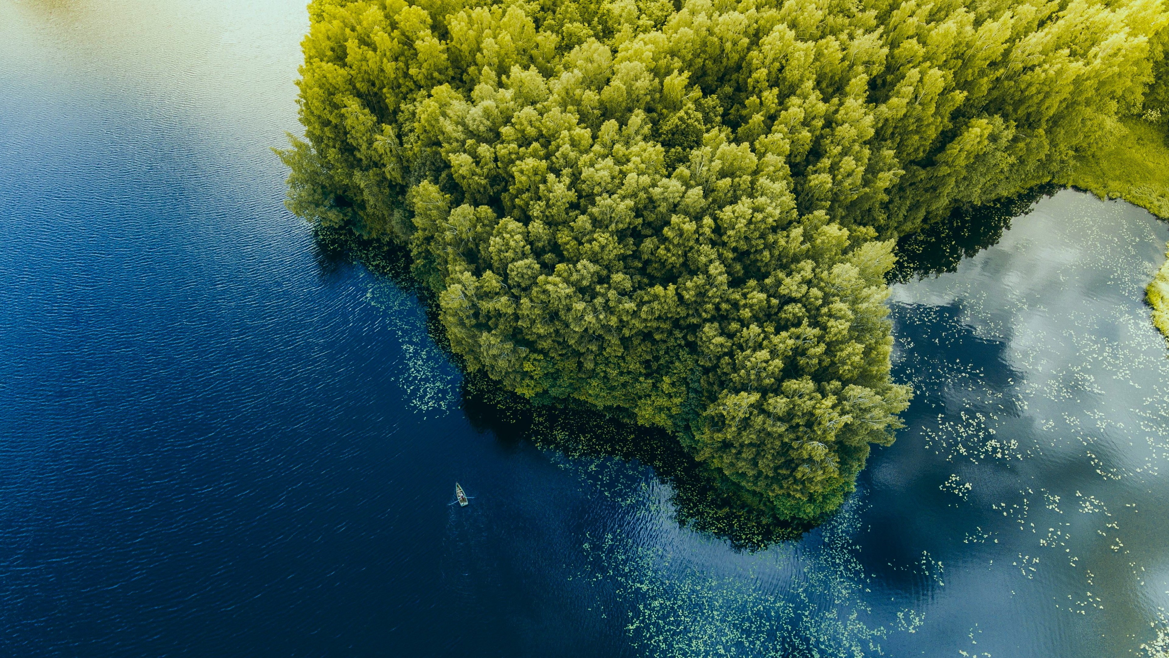 Sustainable Fixed Income Securities