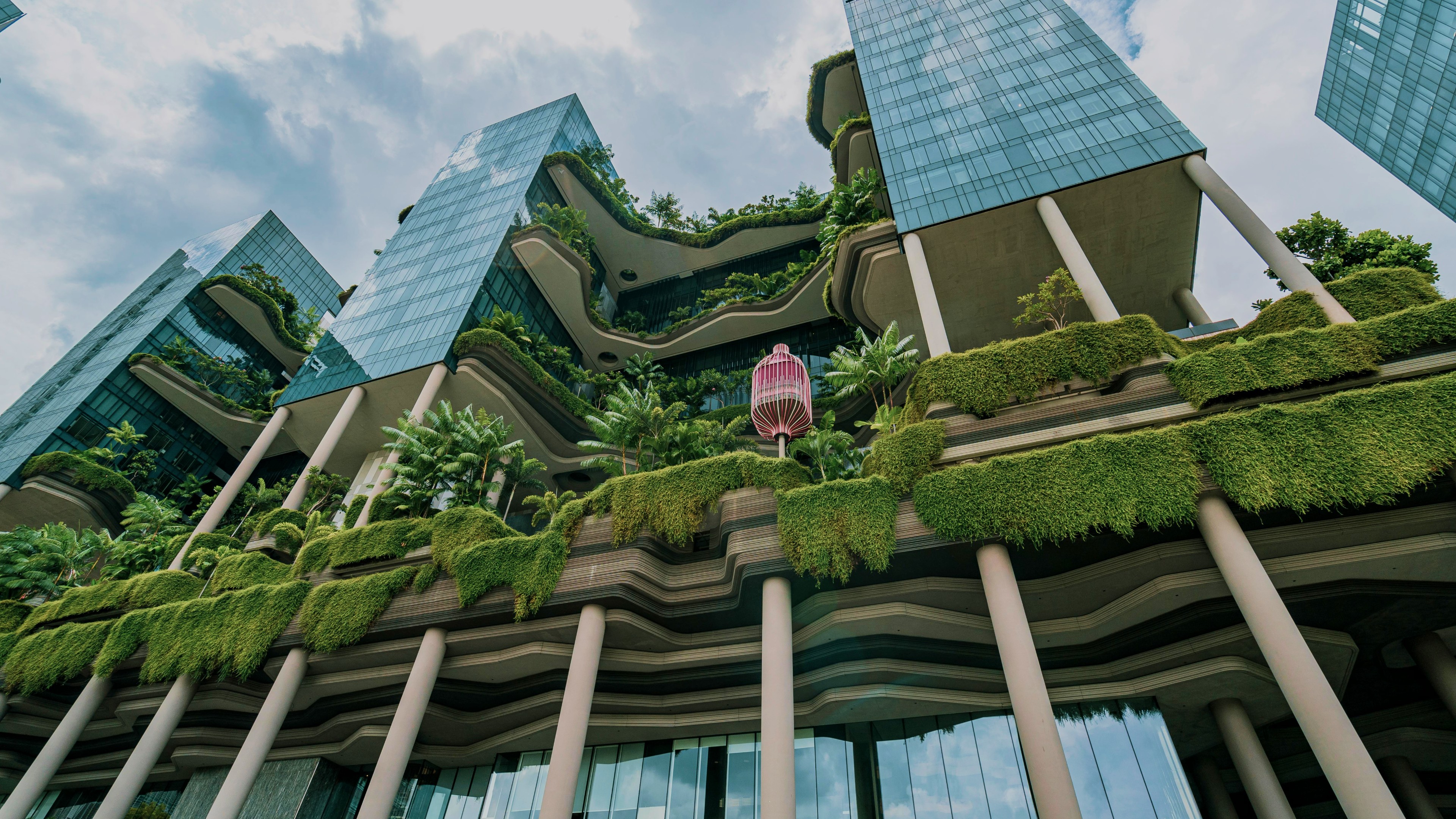 Environmental Degradation