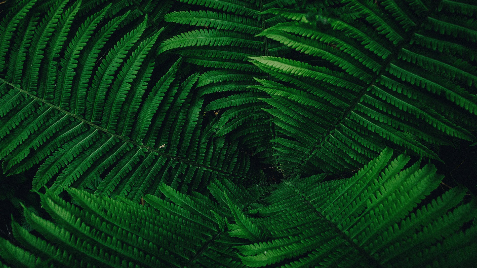 Ecosystem Adaptation