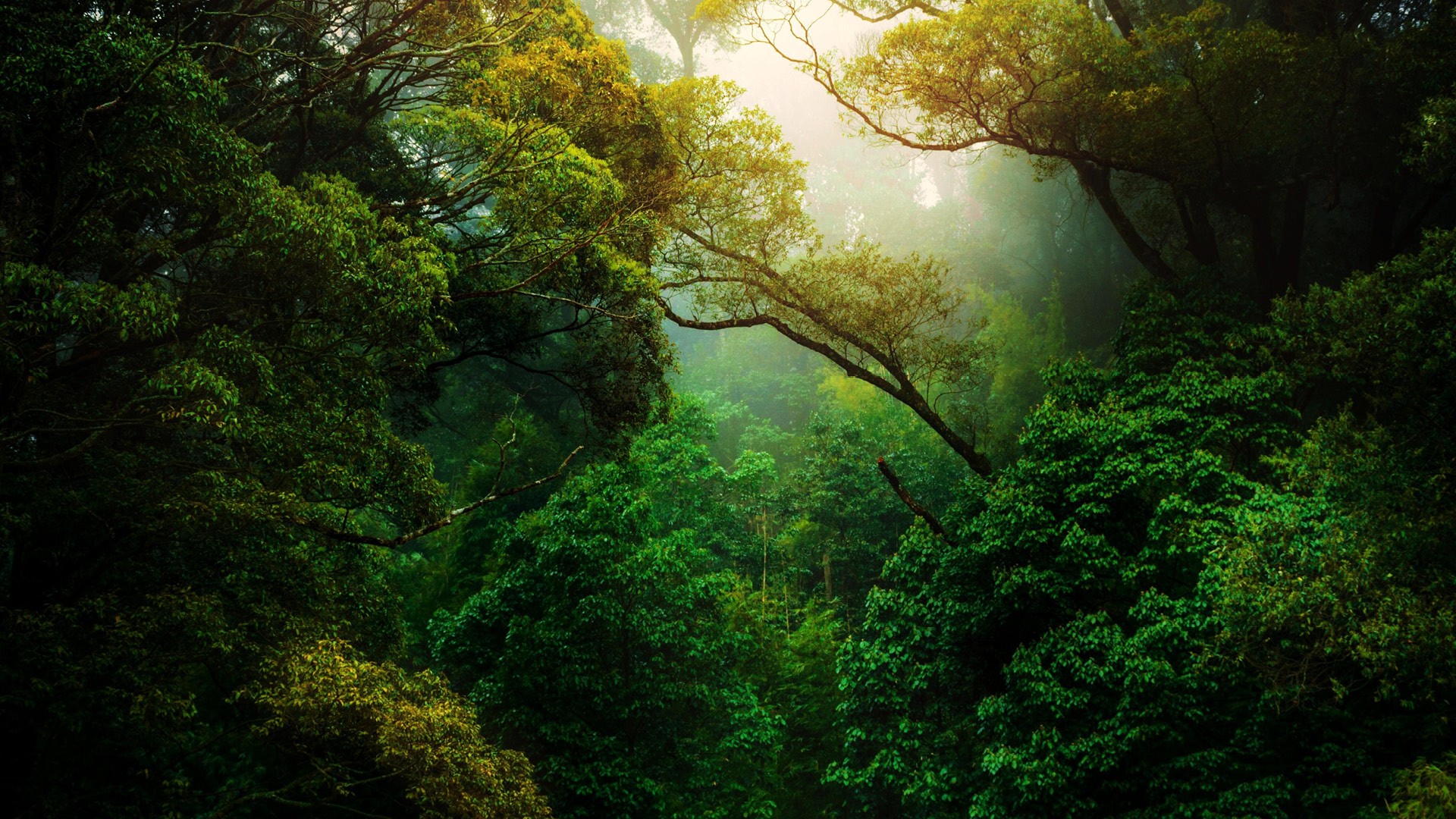Climate Vulnerability Index