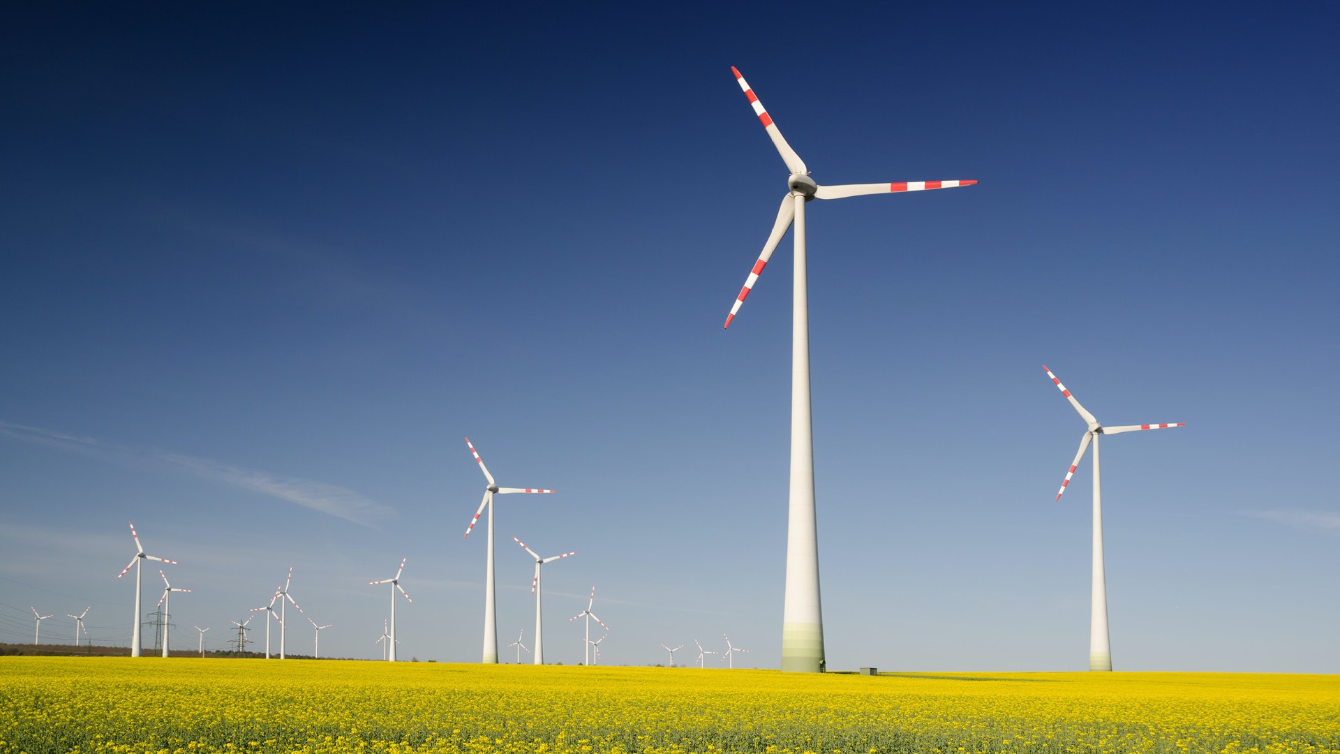Climate Risk Disclosure