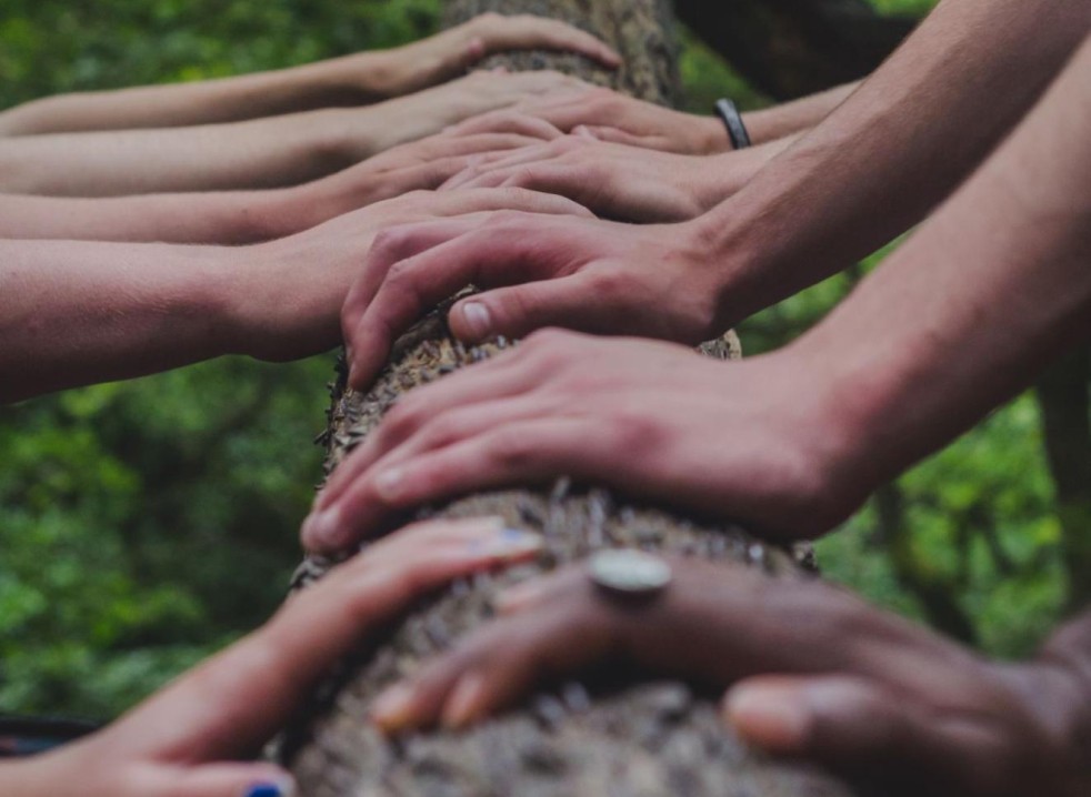 Hands of a group of people touching the trunk of a tree.