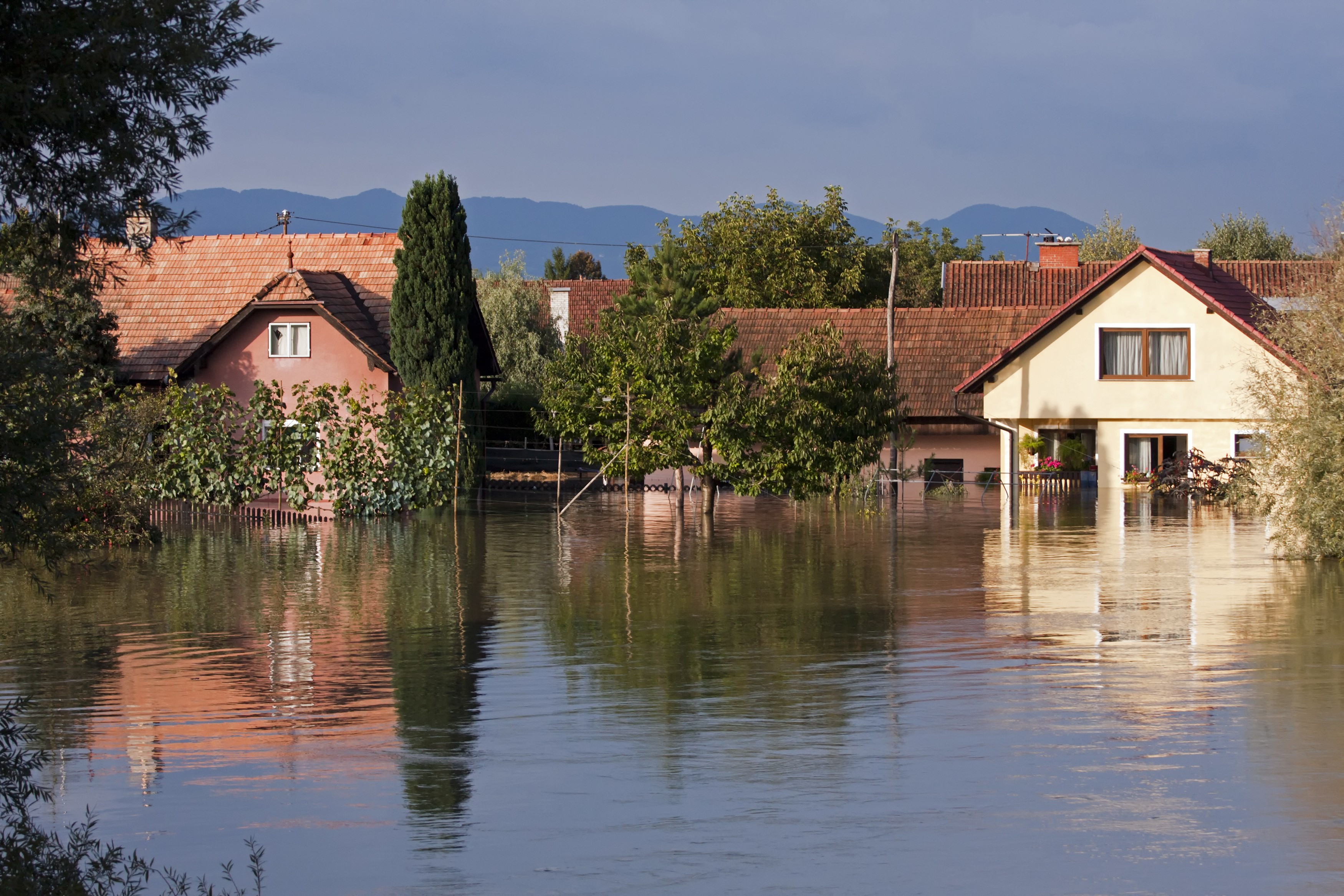 Portfolio Climate Risk Management and Climate Stress Tests