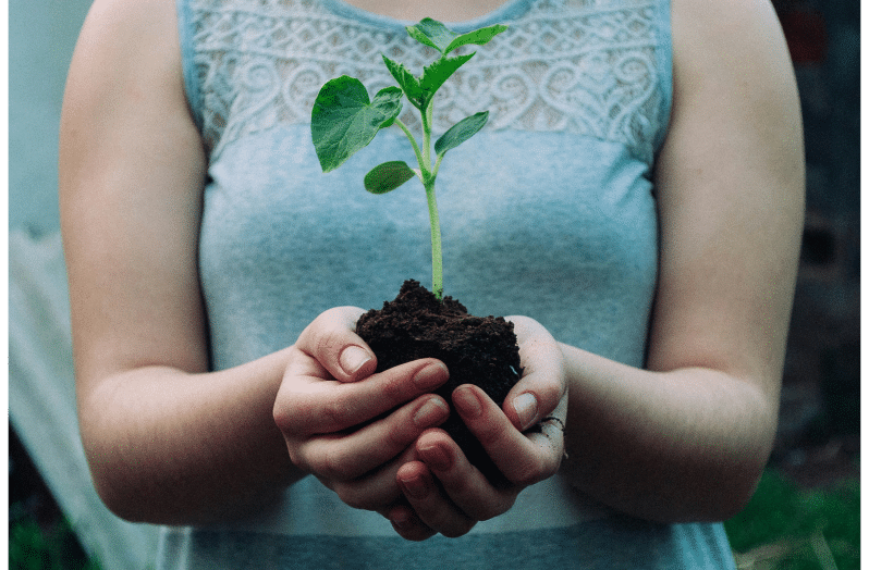 woman holding a plant
