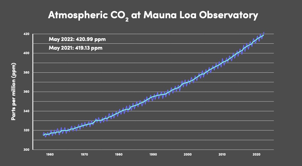 Carbon dioxide concentrations at Mauna Loa, Hawaii