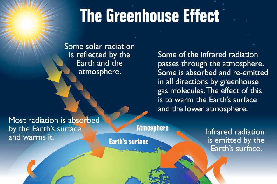 The earth's greenhouse effect