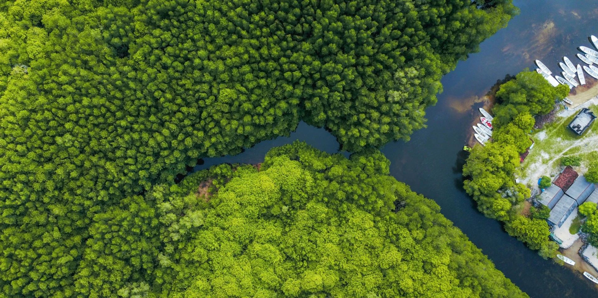 Key outcomes from COP16