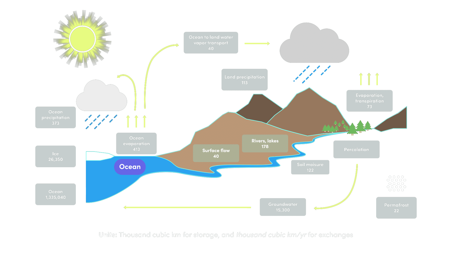 The Earth's hydrological cycle
