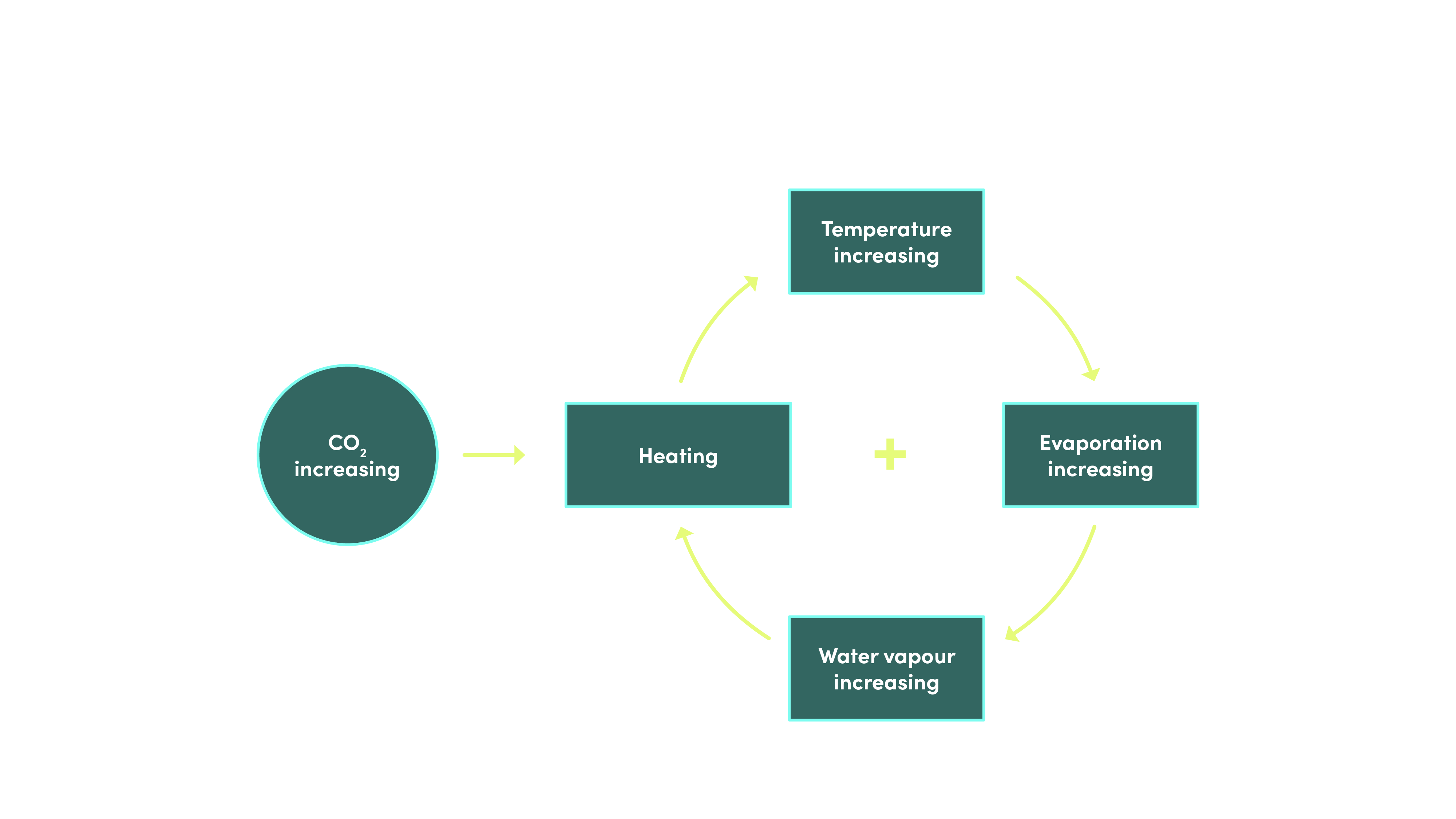 Water vapour feedback