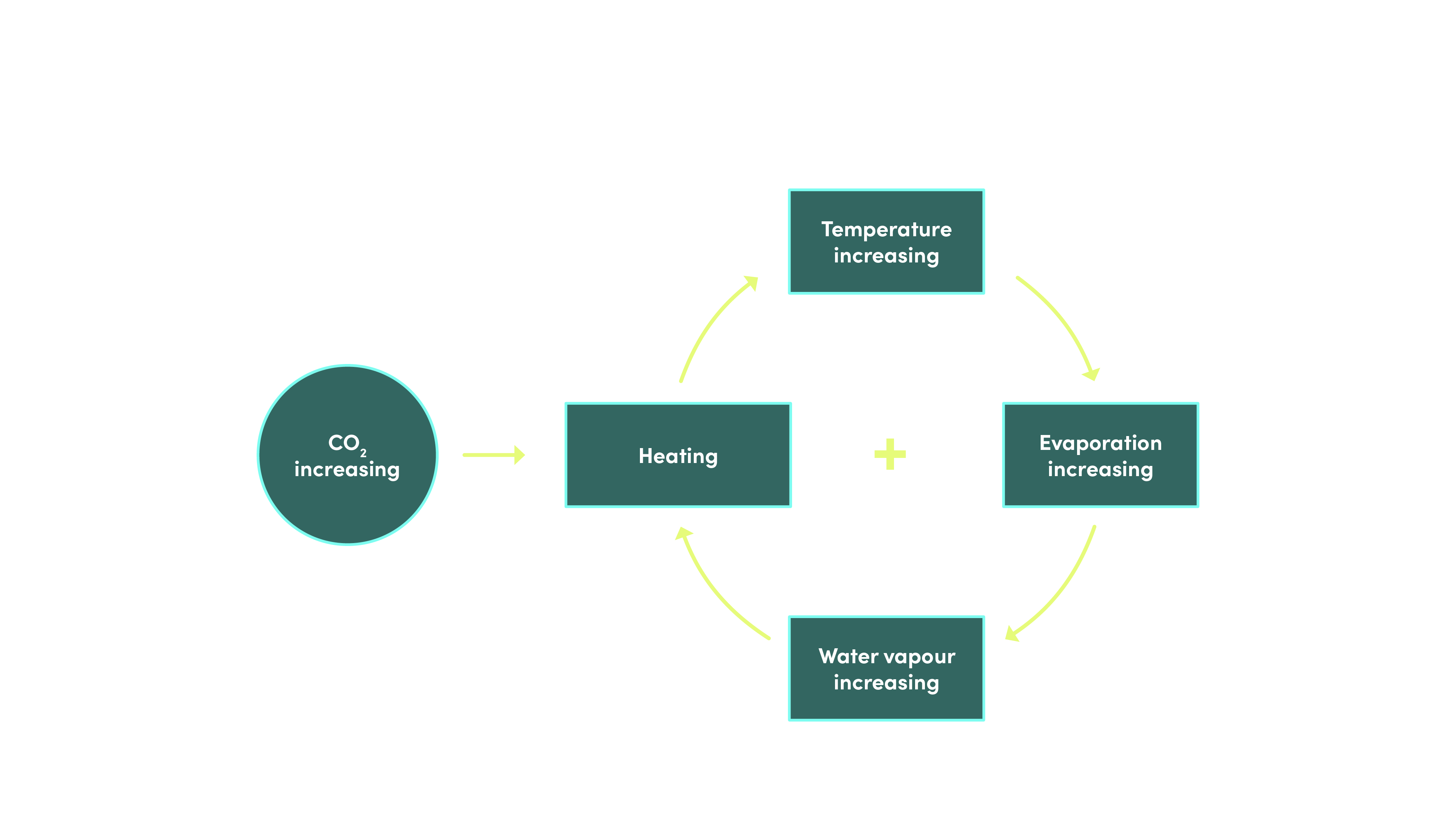 Water Vapour Feedback