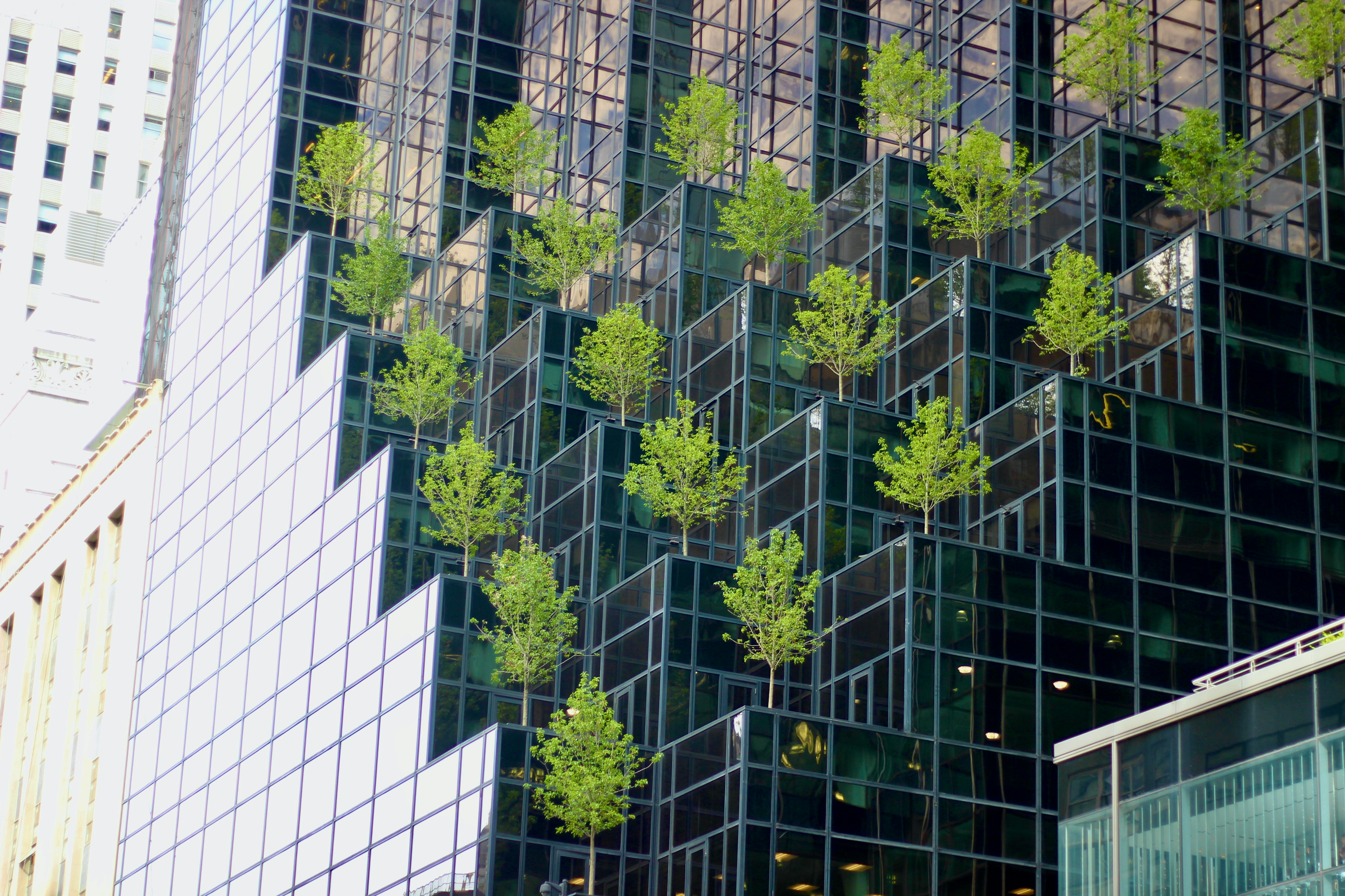 Green plants on office building representing sustainable outlook