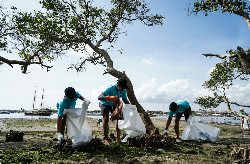 Litter picking on beach