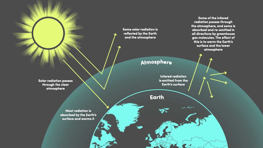 The earth's greenhouse effect