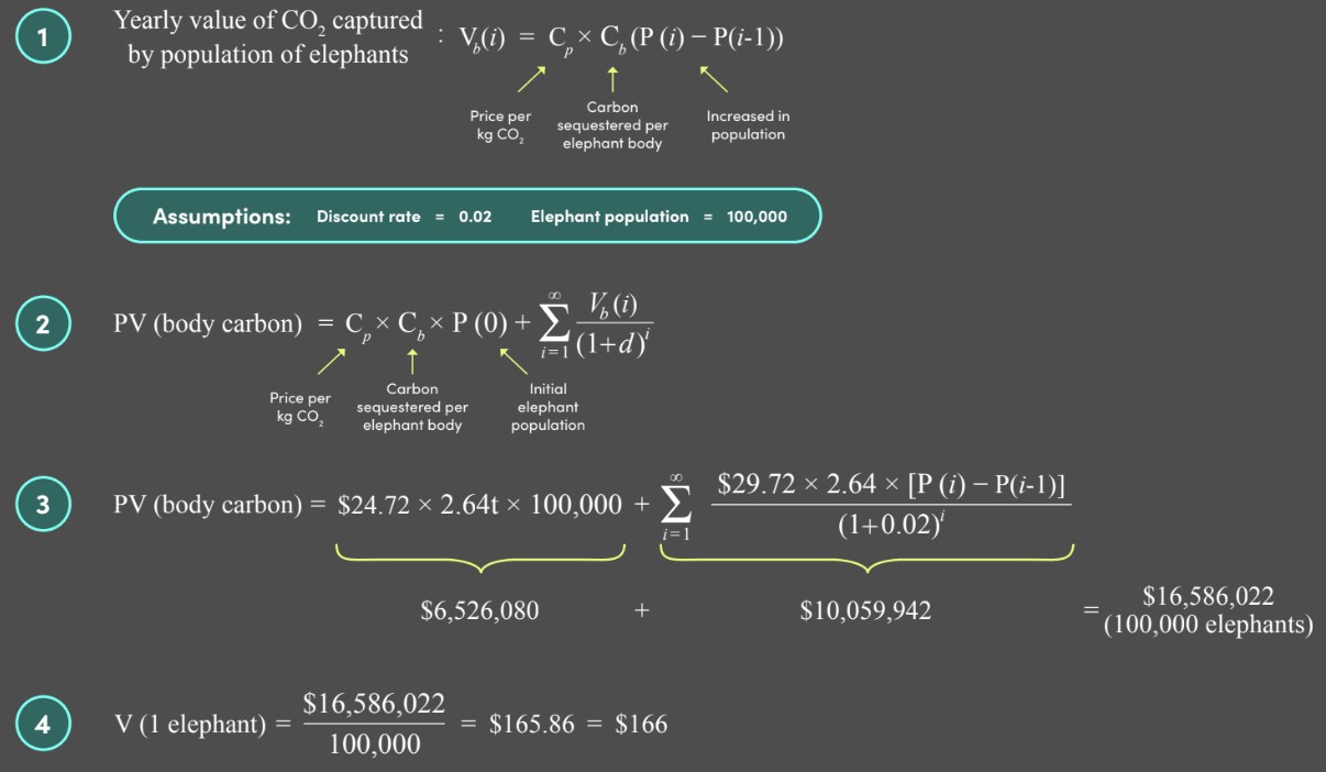 Carbon value of an elephant calculations