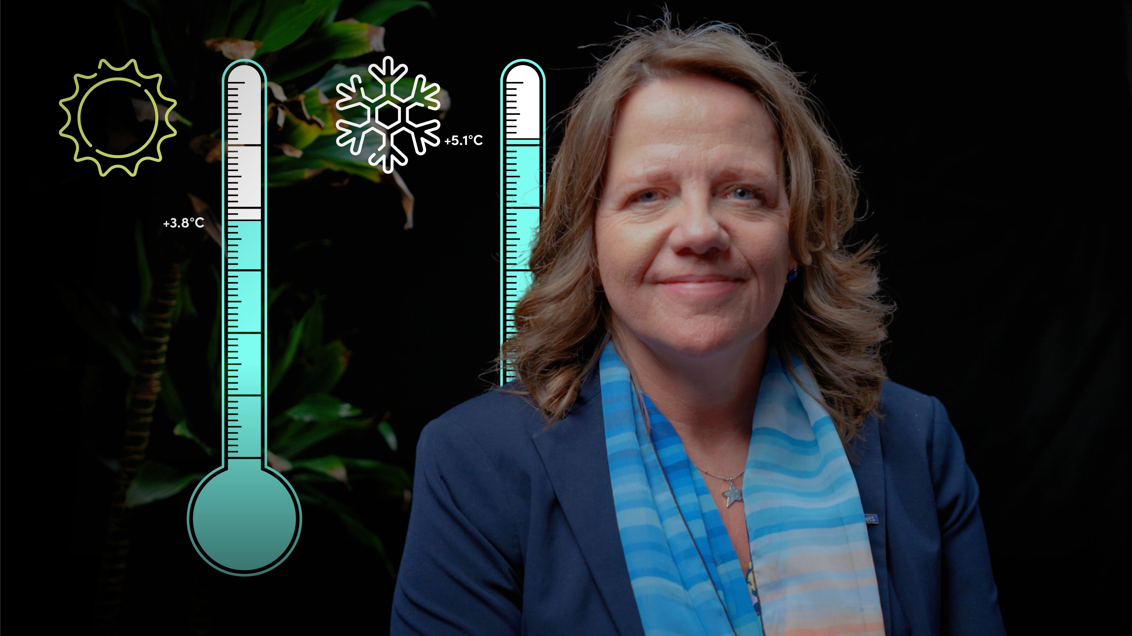 Global Carbon Budget and Net Zero (Danske)