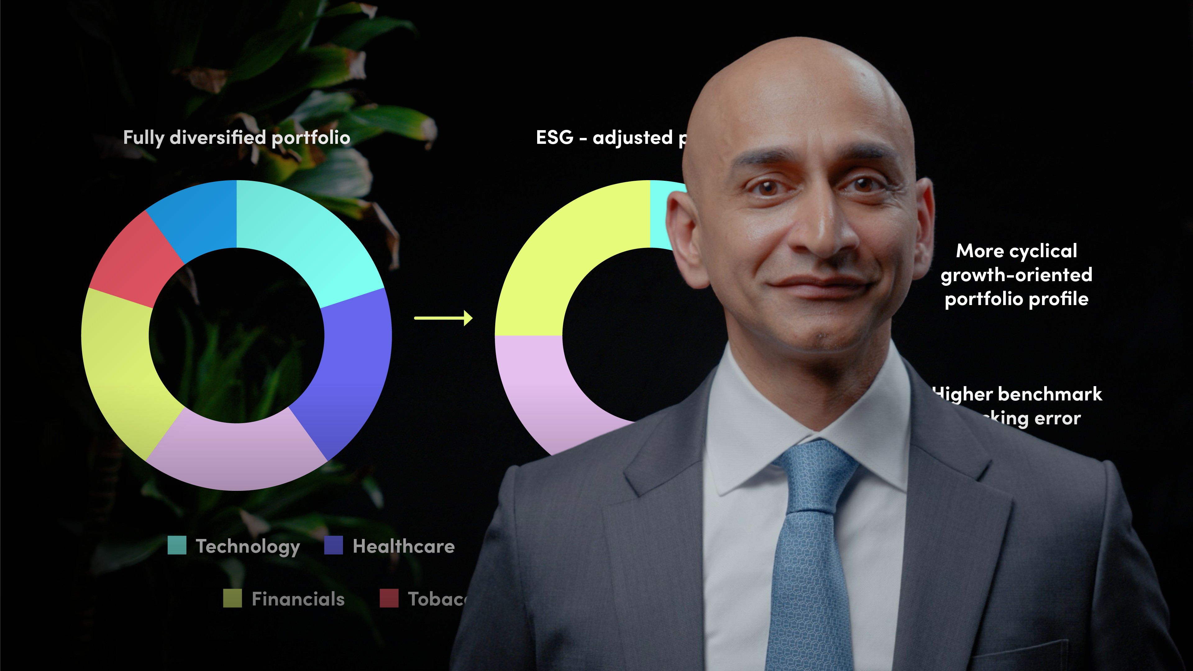 Portfolio Level ESG Integration II